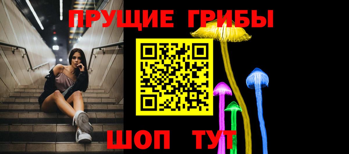 Мурманск  Псилоцибиновые грибы GOLDEN TEACHER  Вход с VPN 